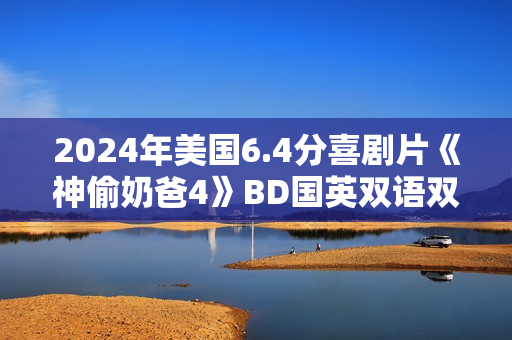 2024年美国6.4分喜剧片《神偷奶爸4》BD国英双语双字