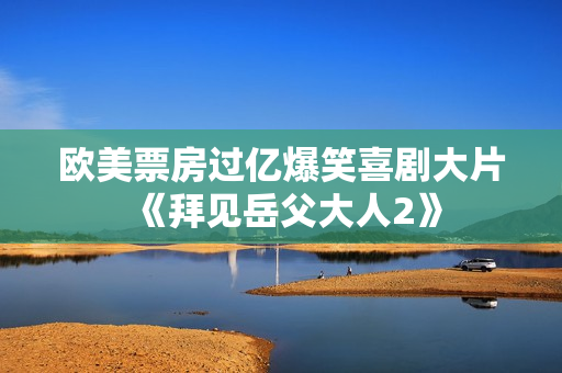 欧美票房过亿爆笑喜剧大片《拜见岳父大人2》