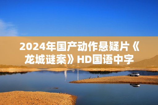 2024年国产动作悬疑片《龙城谜案》HD国语中字