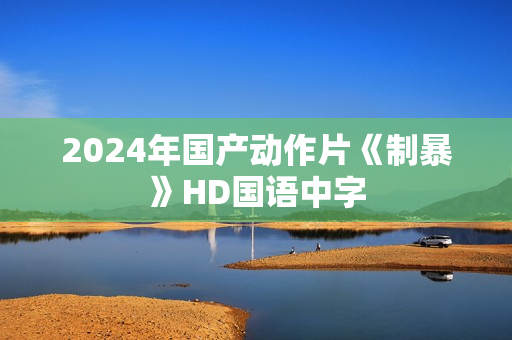2024年国产动作片《制暴》HD国语中字