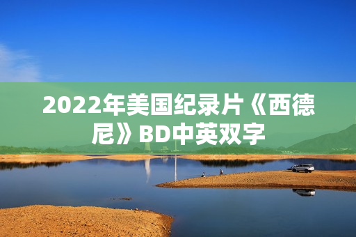 2022年美国纪录片《西德尼》BD中英双字
