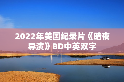 2022年美国纪录片《暗夜导演》BD中英双字