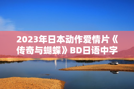 2023年日本动作爱情片《传奇与蝴蝶》BD日语中字