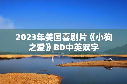 2023年美国喜剧片《小狗之爱》BD中英双字