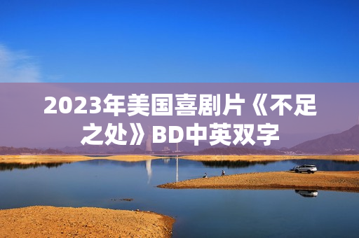 2023年美国喜剧片《不足之处》BD中英双字