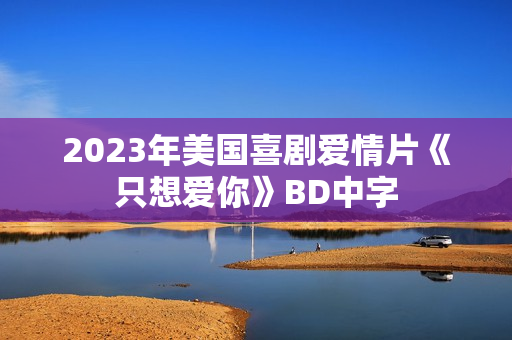 2023年美国喜剧爱情片《只想爱你》BD中字