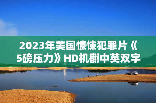 2023年美国惊悚犯罪片《5磅压力》HD机翻中英双字