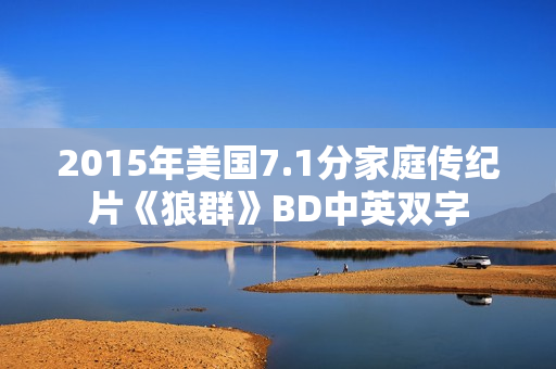 2015年美国7.1分家庭传纪片《狼群》BD中英双字