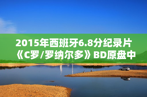 2015年西班牙6.8分纪录片《C罗/罗纳尔多》BD原盘中字