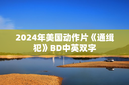 2024年美国动作片《通缉犯》BD中英双字