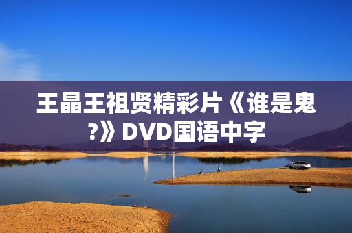 王晶王祖贤精彩片《谁是鬼?》DVD国语中字