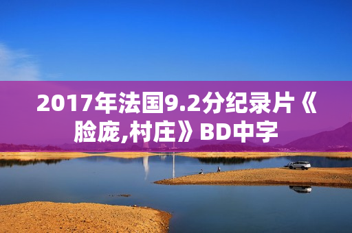 2017年法国9.2分纪录片《脸庞,村庄》BD中字