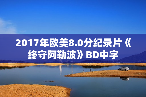 2017年欧美8.0分纪录片《终守阿勒波》BD中字