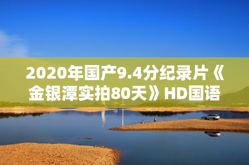 2020年国产9.4分纪录片《金银潭实拍80天》HD国语中字