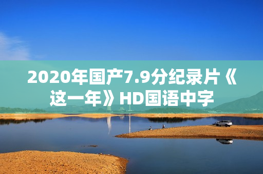 2020年国产7.9分纪录片《这一年》HD国语中字