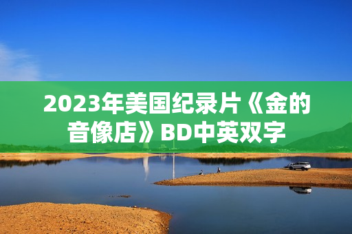 2023年美国纪录片《金的音像店》BD中英双字