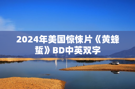 2024年美国惊悚片《黄蜂蜇》BD中英双字