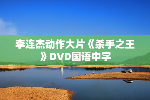 李连杰动作大片《杀手之王》DVD国语中字