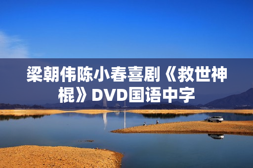 梁朝伟陈小春喜剧《救世神棍》DVD国语中字