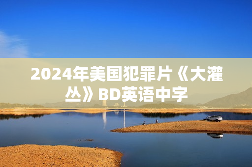 2024年美国犯罪片《大灌丛》BD英语中字