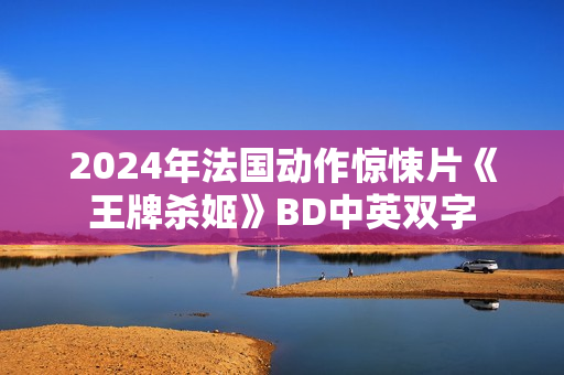 2024年法国动作惊悚片《王牌杀姬》BD中英双字