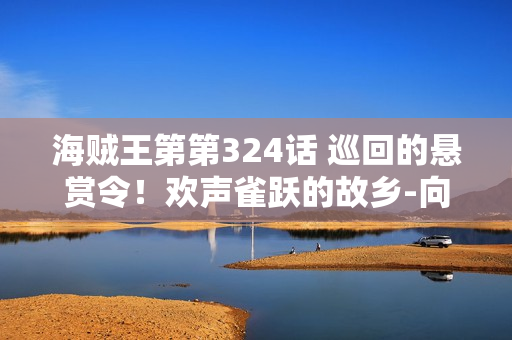 海贼王第第324话 巡回的悬赏令！欢声雀跃的故乡-向前迈进的路