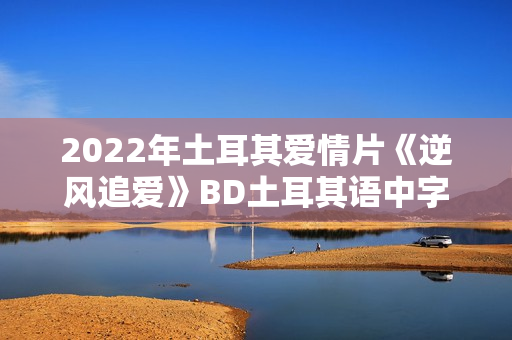 2022年土耳其爱情片《逆风追爱》BD土耳其语中字