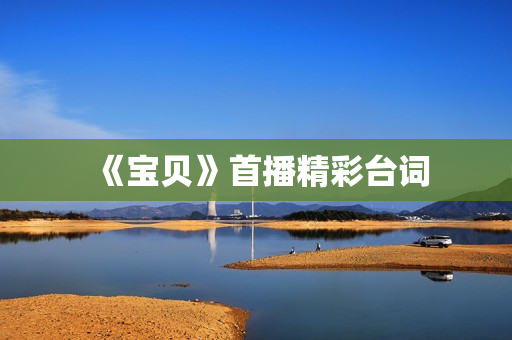 《宝贝》首播精彩台词