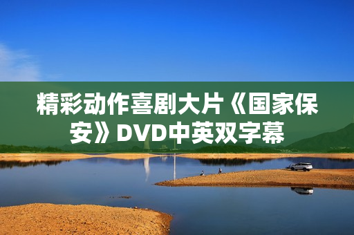 精彩动作喜剧大片《国家保安》DVD中英双字幕
