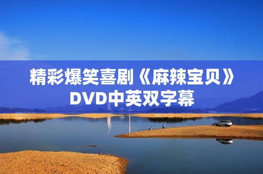 精彩爆笑喜剧《麻辣宝贝》DVD中英双字幕