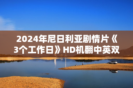 2024年尼日利亚剧情片《3个工作日》HD机翻中英双字