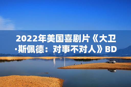 2022年美国喜剧片《大卫·斯佩德：对事不对人》BD英语中字