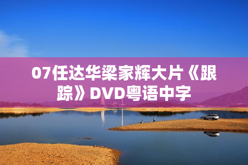 07任达华梁家辉大片《跟踪》DVD粤语中字