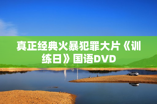 真正经典火暴犯罪大片《训练日》国语DVD