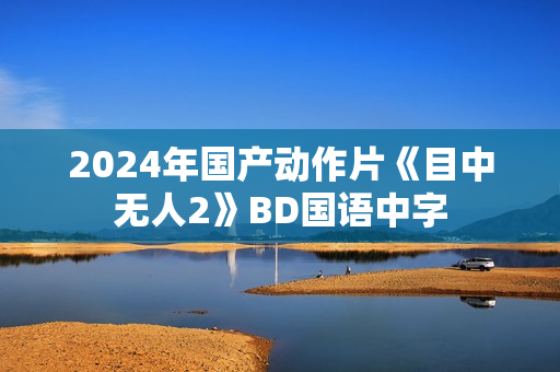 2024年国产动作片《目中无人2》BD国语中字 2024年国产动作片《目中无人2》BD国语中字