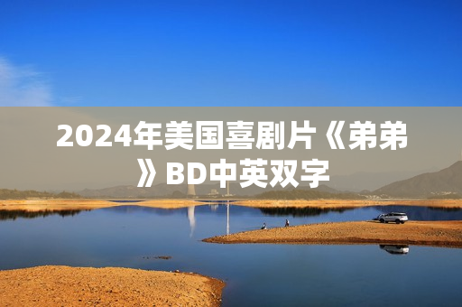 2024年美国喜剧片《弟弟》BD中英双字 2024年美国喜剧片《弟弟》BD中英双字