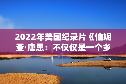 2022年美国纪录片《仙妮亚·唐恩：不仅仅是一个乡村女孩》BD英语中字
