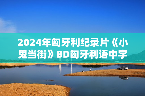 2024年匈牙利纪录片《小鬼当街》BD匈牙利语中字