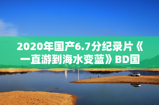 2020年国产6.7分纪录片《一直游到海水变蓝》BD国语中字