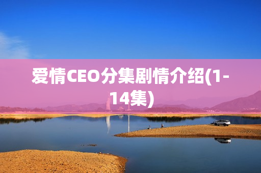 爱情CEO分集剧情介绍(1-14集) 爱情CEO分集剧情介绍(1-14集)