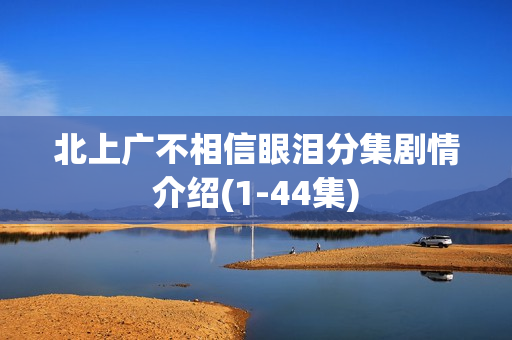 北上广不相信眼泪分集剧情介绍(1-44集)