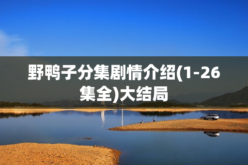 野鸭子分集剧情介绍(1-26集全)大结局 野鸭子分集剧情介绍(1-26集全)大结局