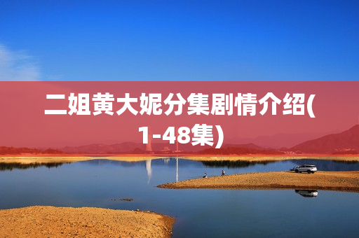 二姐黄大妮分集剧情介绍(1-48集)