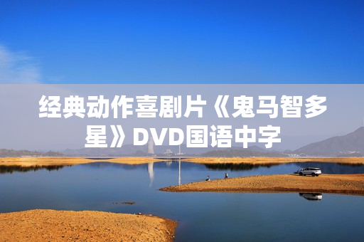 经典动作喜剧片《鬼马智多星》DVD国语中字 经典动作喜剧片《鬼马智多星》DVD国语中字