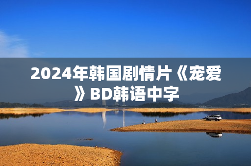 2024年韩国剧情片《宠爱》BD韩语中字