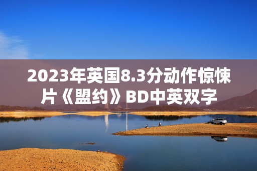 2023年英国8.3分动作惊悚片《盟约》BD中英双字