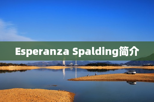 Esperanza Spalding简介