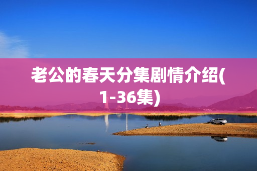 老公的春天分集剧情介绍(1-36集)