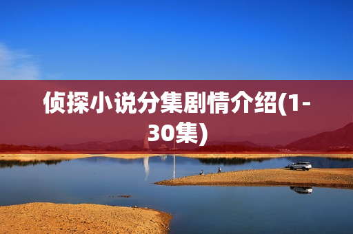 侦探小说分集剧情介绍(1-30集)