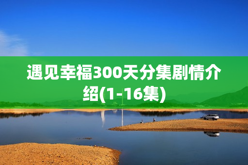 遇见幸福300天分集剧情介绍(1-16集)
